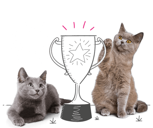 2 cats sat by a trophy