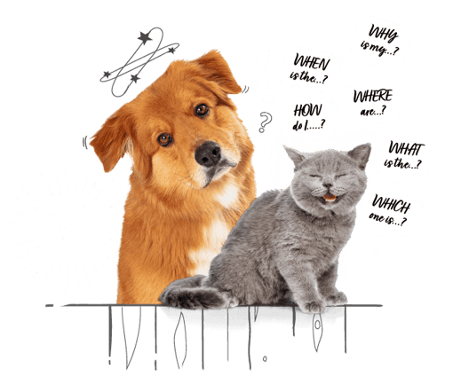 Photo illustration of a dog and a cat