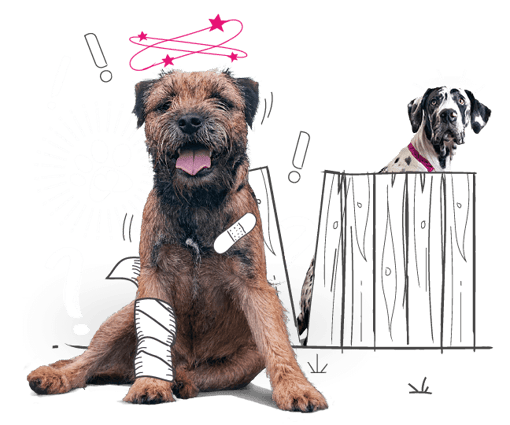 Illustration of a dog that's had an accident