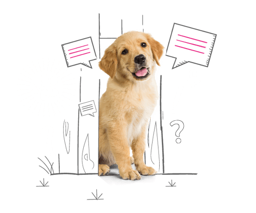 Dog sat in front of an illustrated fence