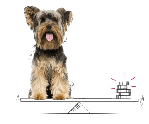 Illustration of a dog sat on some scales