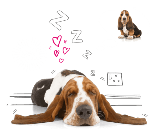 Illustration of a dog dreaming