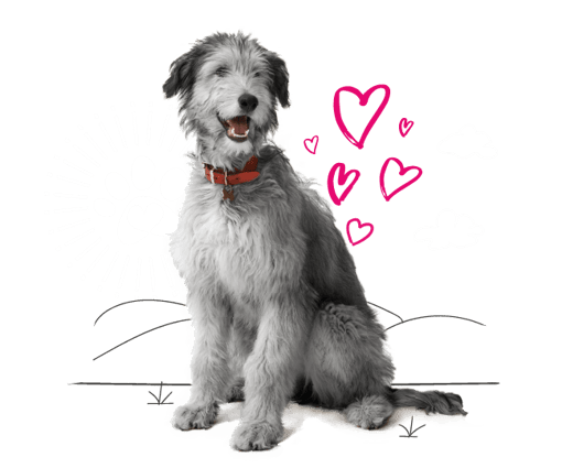 Illustration of a dog and love hearts