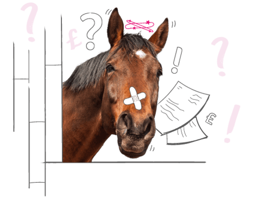 Photo of a bay horse peering through an illustration of a stable door, with a plaster illustration on their nose