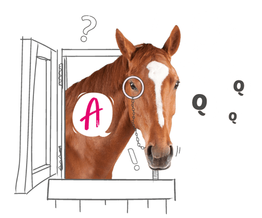 Horse looking through a stable door