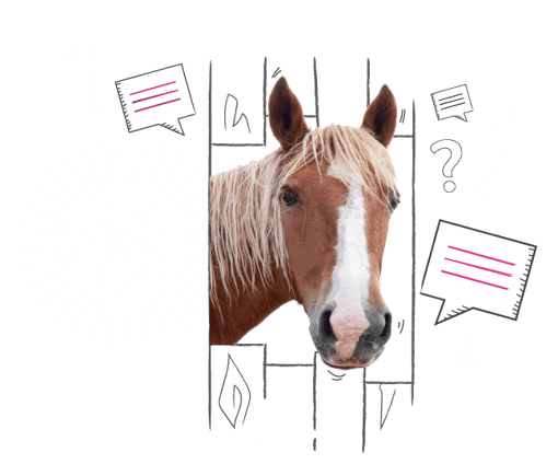 Horse looking through a fence