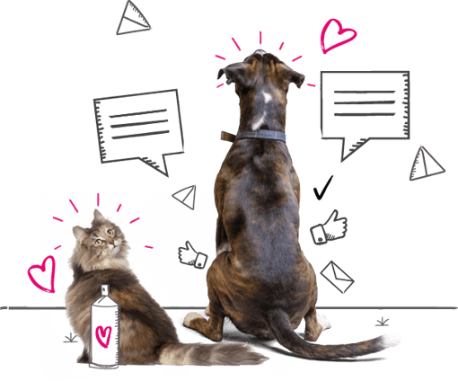 Customer review image