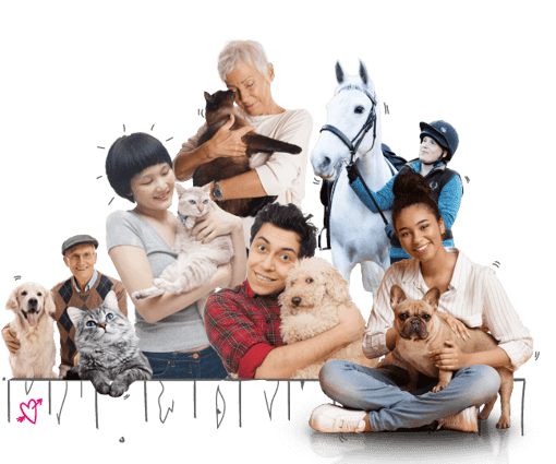 Photo illustration of customers holding their pets