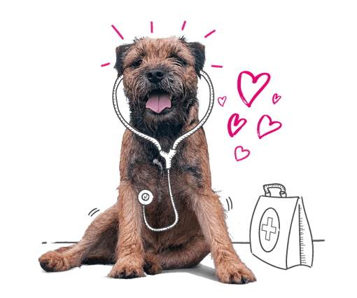 Photo illustration of a dog with love hearts.