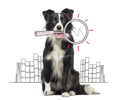 Dog with an illustrated background