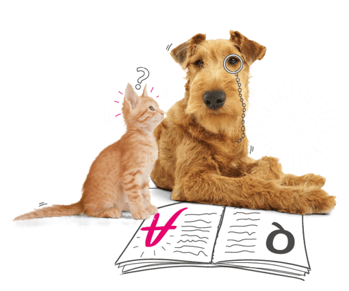 Dog and cat looking at a book.