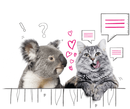 Cat and Koala looking over an illustrated fence