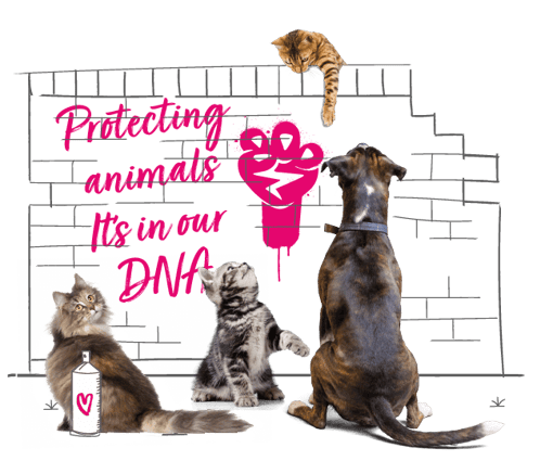 Illustration of animals campaigning