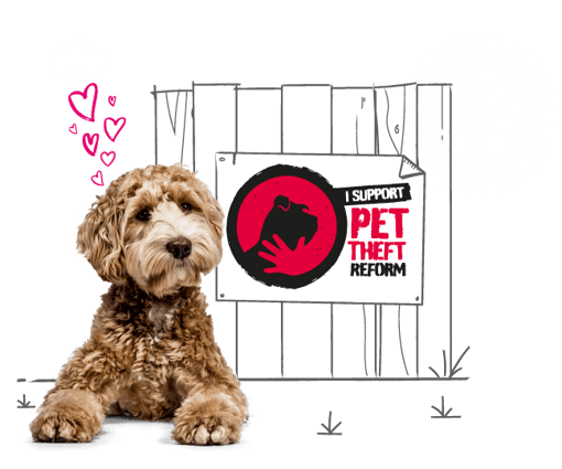 Illustration of dog supporting Pet Theft Reform