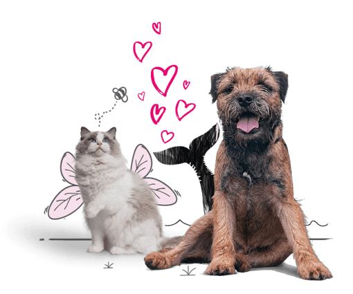 Illustration of a dog, cat and whale's tail