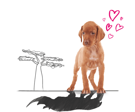 Illustration of a dog with a rhino's shadow