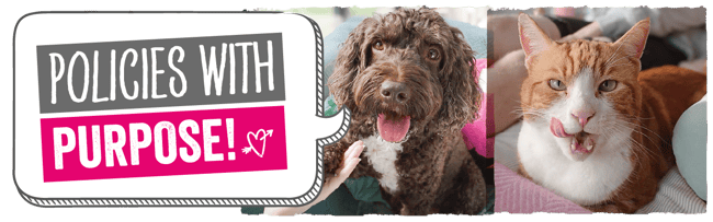 policies with purpose image