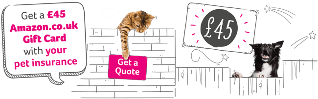 Pet insurance offer - £45 Amazon.co.uk Gift Card