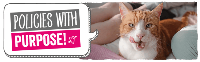 policies with purpose cat image