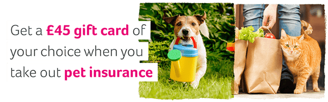 Pet insurance offer