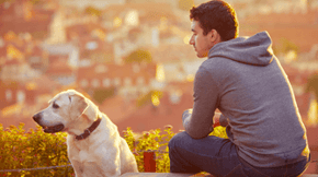A man and dog sit at a sunset view point