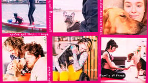 A collage of pets with their owners