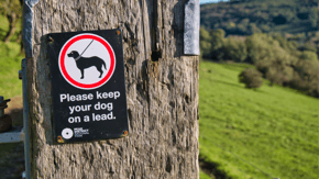 A picture of a sign in the countryside, which says to keep dogs on leads
