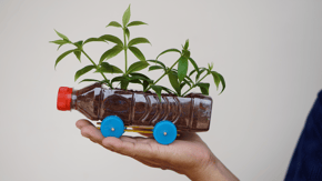 A planter made from a recycled bottle, with seedlings