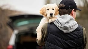 Puppy being carried by a man wearing a cap