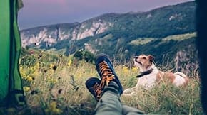 A mountainous scene with a dog next to a wild camper and their tent