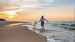 A woman and her dog are jumping waves on the beach at sunset