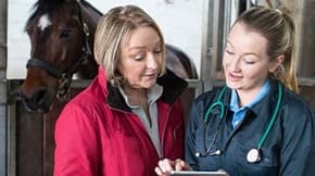 A vet chats with a horse owner