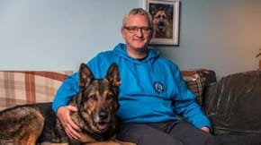 A German Shepherd on a sofa next to a man