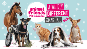 A wildly different xmas tail