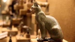 Cats throughout history