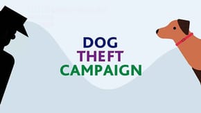 Dog Theft Campaign