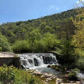 Monsal