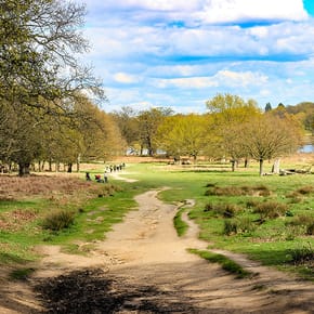 Richmond Park