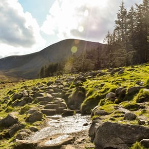 Tollymore River