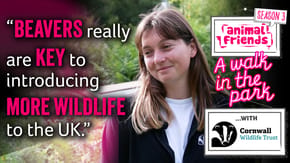 A walk in the park podcast, season 3 with Cornwall Wildlife Trust