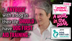 A walk in the park podcast, season 3 with Dog First Aid Training