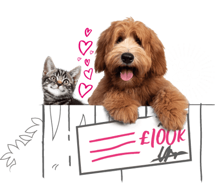 A dog and cat are looking over an illustrated fence and holding a cheque