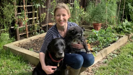 A woman sits on the edge of a vegetable patch with her 2 dogs