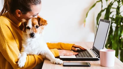 A woman tries to work on a laptop but her dog in on her lap