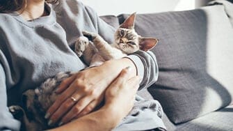 Cat being cradled