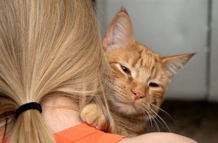 cat help and advice