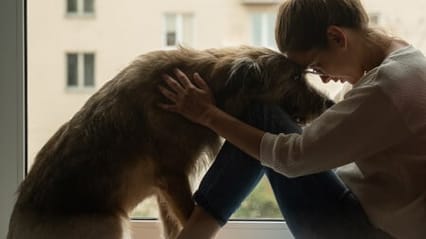 Should I stay with my pet when they're put to sleep