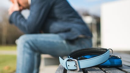 Understanding the different stages of pet loss grief