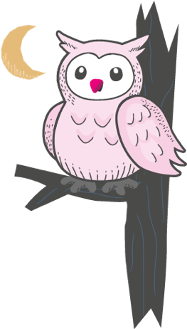 OWL.png