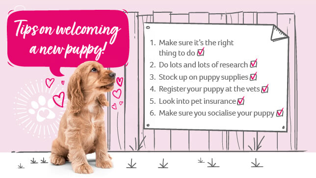 AFI_website_Tips_Pet Proofing_2022.jpg